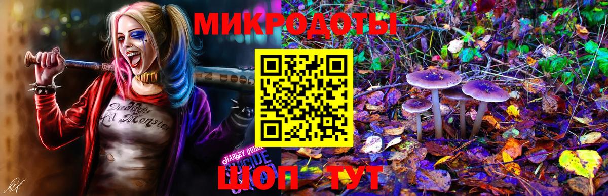 наркота  Псилоцибиновые грибы мухоморы  Вход с VPN  Партизанск 